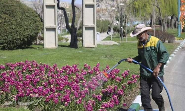 پایان عملیات کاشت گل‌های بهاری در سطح شهر کرج