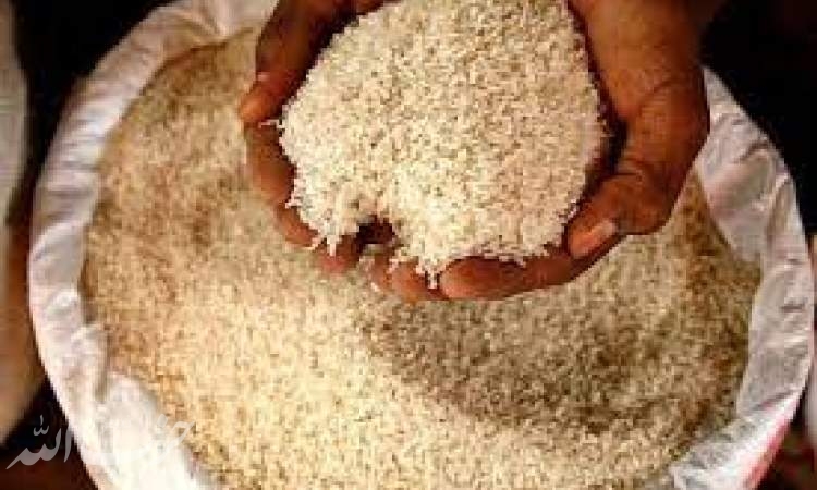 پتانسیل خودکفایی برنج در کشور وجود دارد
