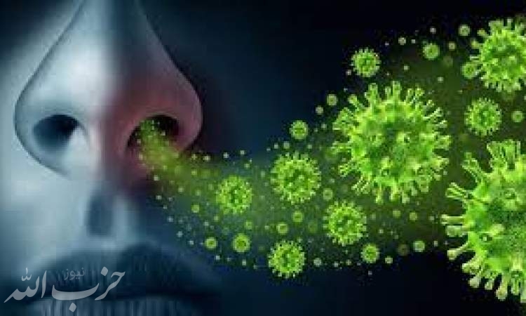 تفاوت علائم آنفولانزا با کرونا تنها در بروز مشکلات گوارشی است/ مراجعان عموما به آنفولانزا مبتلا هستند