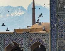 پرواز پرندگان در مسجد جامع اصفهان